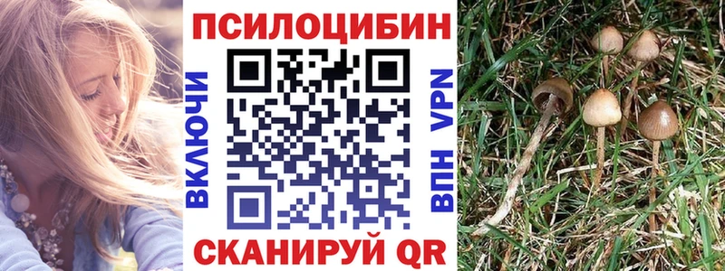 Псилоцибиновые грибы мицелий  KRAKEN ССЫЛКА  Глазов 